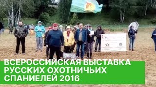 Всероссийская выставка РОС 12.06.2016 Всероссийская выставка РОС 12.06.2016