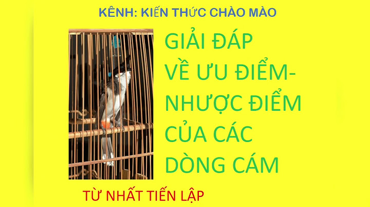 Cám cho chào mào của hãng nào tốt nhất