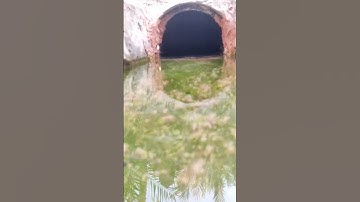 القارء عبد الرحمان مسعد قرآن #القارئ اكتب شيء تؤجر عليه ❤️🤲