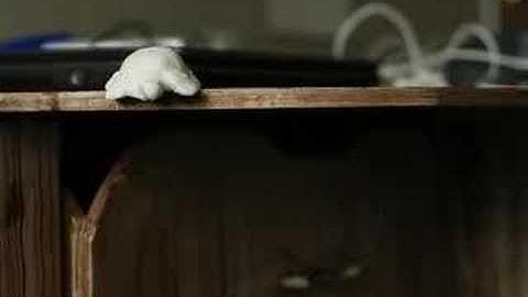 Tree Hugger Animation