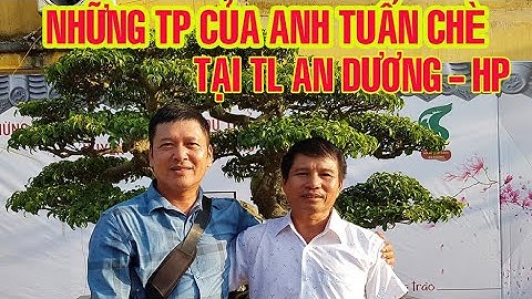 Anh Tuấn Chè CS Những TP bonsai tại TL An Dương Hải Phòng