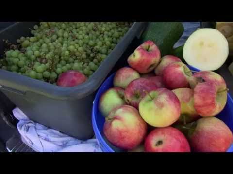 Video: Uogienė „Dieviškos Vynuogės“