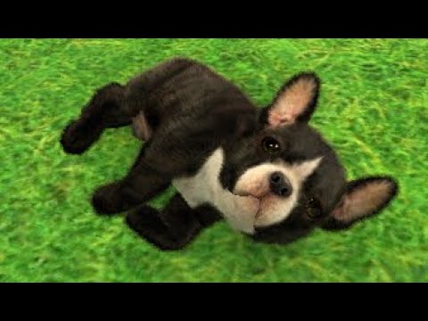 nintendogs + cats: French Bulldog & New Friends Playthrough Part 1