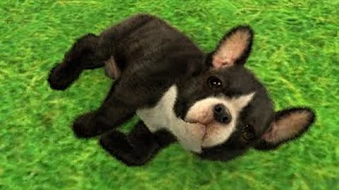 nintendogs + cats: French Bulldog & New Friends Playthrough Part 1