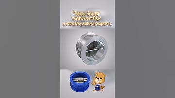 5 seconds to understand how the butterfly check valve works!