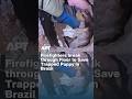 Firefighters Break Through Floor To Save Trapped Puppy In Brazil | APT
