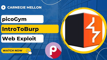 picoGym (picoCTF) Exercise: IntroToBurp