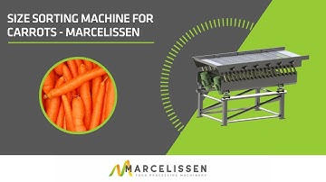 Size Sorting Machine for Carrots - Marcelissen