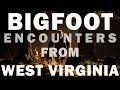 BIGFOOT ENCOUNTER IN WEST VIRGINIA | IT A DARK BLACK FIGURE JUMPED DOWN FROM THE TREE!