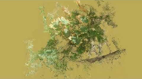 photogrammetry composition 2