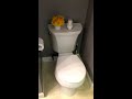 Kohler Wellworth Toilet Review