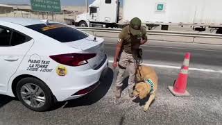 DROGA CALAMA Y ANTOFAGASTA