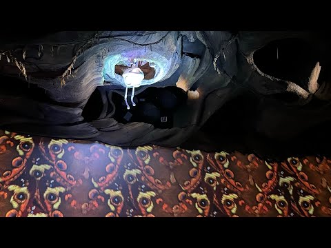 ディズニー　スノードーム　バグズライフ It's Tough To Be A Bug! バグズ ライフ Animal Kingdom アニマル