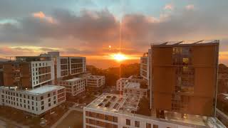 UCSD Sixth College Sunset