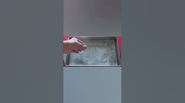 The shape memory effect