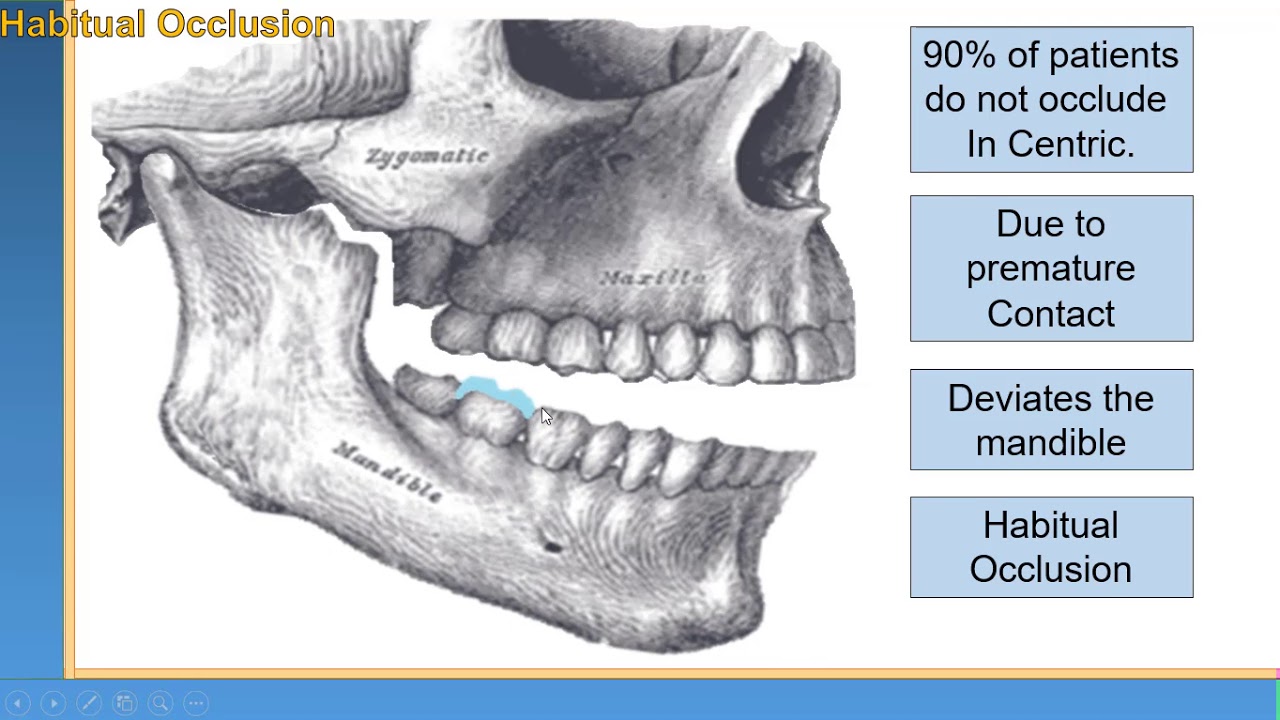 Occlusion. Centric relation. Facebow transfer YouTube