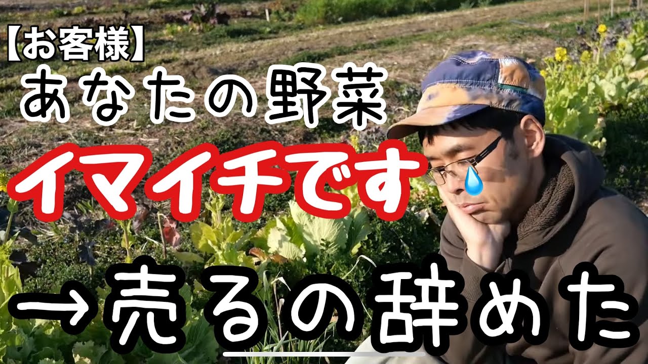 自然農の野菜販売を辞めた理由【無農薬/無肥料/農業/自然栽培/新規就農】