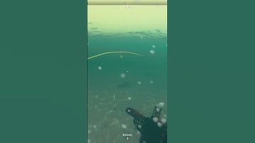 Random warzone clip #1 #shorts