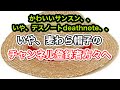 カワイイサムスン、、いや、デスノート、いや、麦わら帽子のチャンネル登録者の方々に。카와이이삼순, 아니 데스노트, 아니, 무기와라보우시의 채널구독자분들께.@作戦名嫌韓潰す