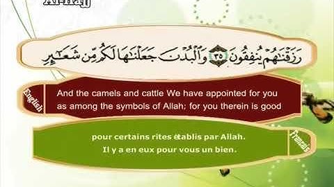 ( سورة الحج ) - تلاوة عطرة القارئ فضيلة الشيخ سعد الغامدي