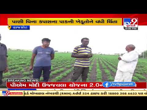 Delayed Monsoon: No signs of rainfall after about 20-25 days in Jetpur, farmers worried, Rajkot |TV9