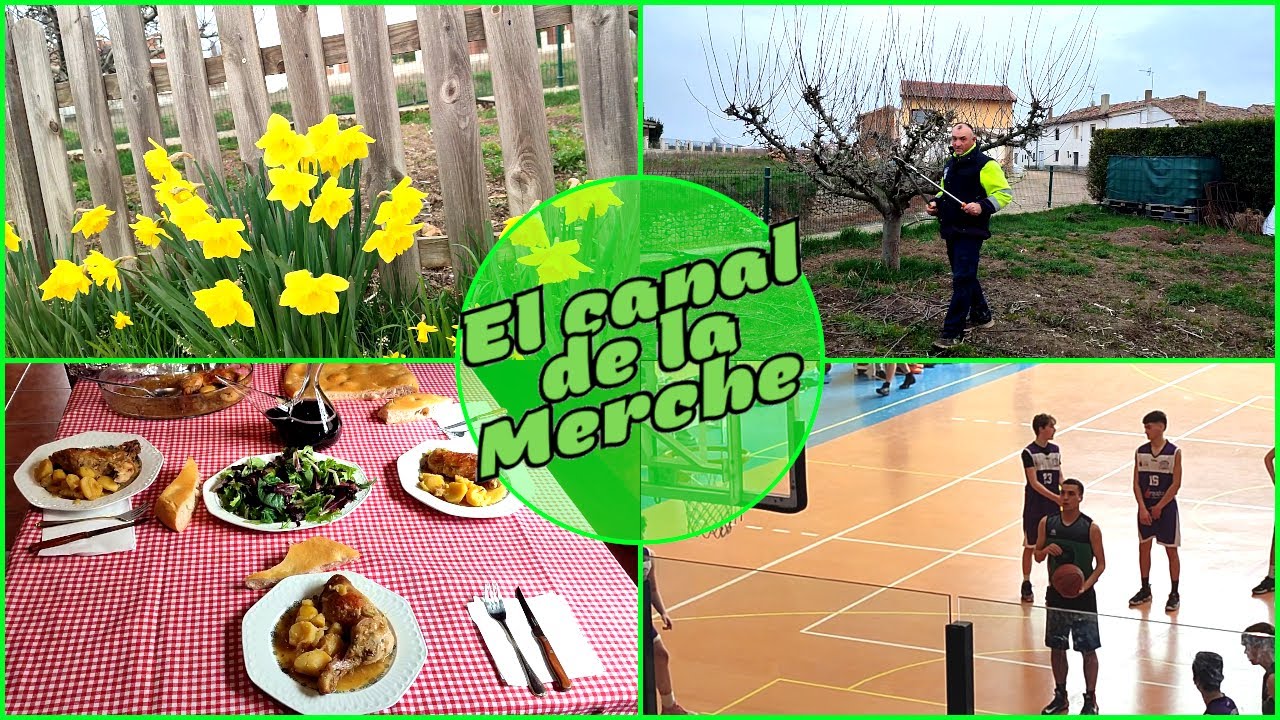 Narcisos 🌻 Poda 💇‍♀️🌳 Pollo asado 🍗 Baloncesto 🏀