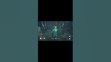 Flashbang Saving Death Hook Teammate against Animatronic