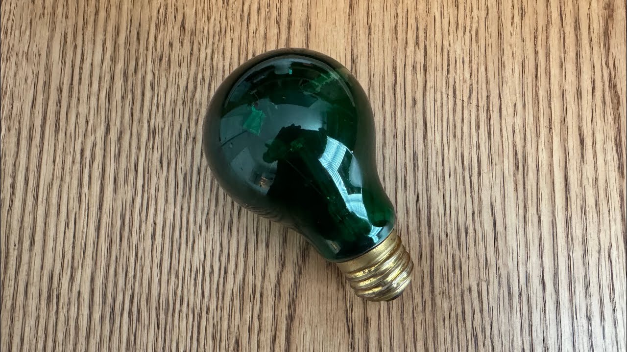 Sunbeam Green 40watt A19 Incandescent Light Bulb