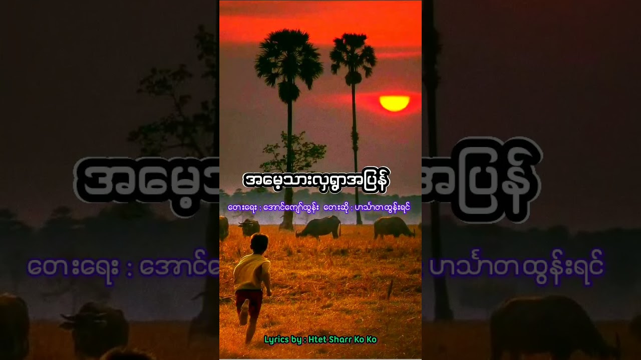 အမေ့သားလှရွာအပြန် ဟင်္သာတထွန်းရင်  @htetsharrkoko