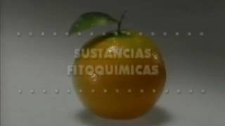 Módulo 7 #2 Las sustancias fitoquímicas