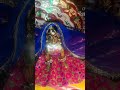 #radhe radhe radhe radhe radhe radhe radhe radhe radhe radhe#ladoo gopal🌼🌼🌼🌼🌼🌼🌼