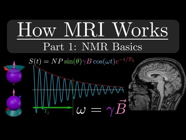 How MRI Works - Part 1 - NMR Basics class=