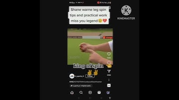 spin master for king swing is aking#short #shortsvideo #shorts youtube video