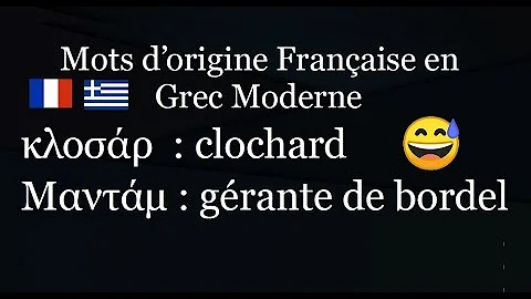 Quels mots français découlent du mot grec polis ?