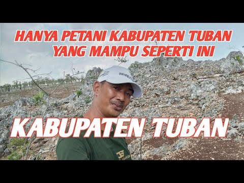 Video: Keajaiban Alam Untuk Membantu Tanaman Bertahan Hidup