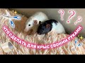 DIY: РАЗВЛЕКУХА ДЛЯ КРЫС СВОИМИ РУКАМИ