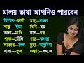 Learn to speak malay language  malay course for foreigners  daily using malay to bangla