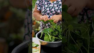 Kahipiththan (කැහිපිත්තන්)leaf Jelly?? |මේ කොල හොයාගත්තොත් ගෑස්ටික් හොයාගන්න නැති වෙයි srilankan