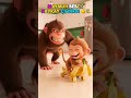 MAYMUN BEBEK KAYKAY YAPTI BABA KABUĞA BASTI DÜŞTÜ 😂🍌 (Abone Ol)😂🔥