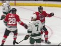 Rockford IceHogs (3) at Iowa Wild (1) 1.10.16
