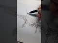 Fighter Jet Drawing F 35 