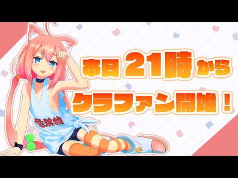 本日２１時～クラウドファンディング開始だよ！どきどき！【猫宮ひなた】