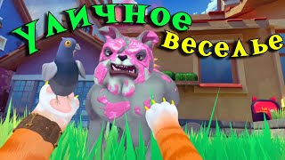 видео: КОТ  ВЕСЕЛИТСЯ НА УЛИЦЕ картинка: КОТ  ВЕСЕЛИТСЯ НА УЛИЦЕ