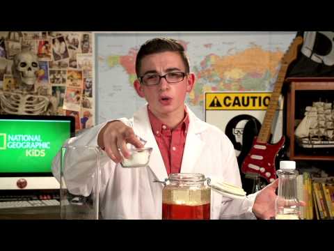 Eggs-periments! | Nat