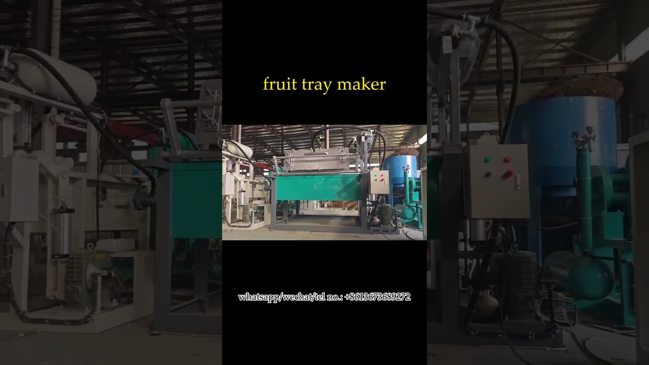 Fruit tray making machine for apple tray 