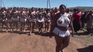Zulu virgin testing traditional event