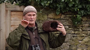 How to Guide - Brushwood Robin Nester with Simon King