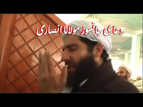 دعای جانسوز مولانا مجیب الرحمن انصاری  