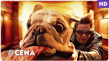Qual filme O Pietro aparece?