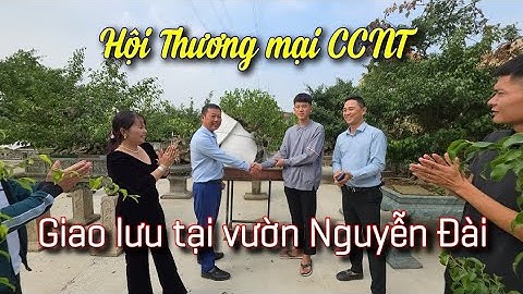 SH.11210. Nhiều giao dịch bất ngờ khi Hội Thương mại Bonsai giao lưu tại vườn Nguyễn Đài Thường Tín